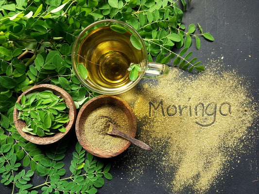 MORINGA: The Benefits of Drinking Moringa Tea