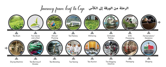 What is it About a Cup of Tea?