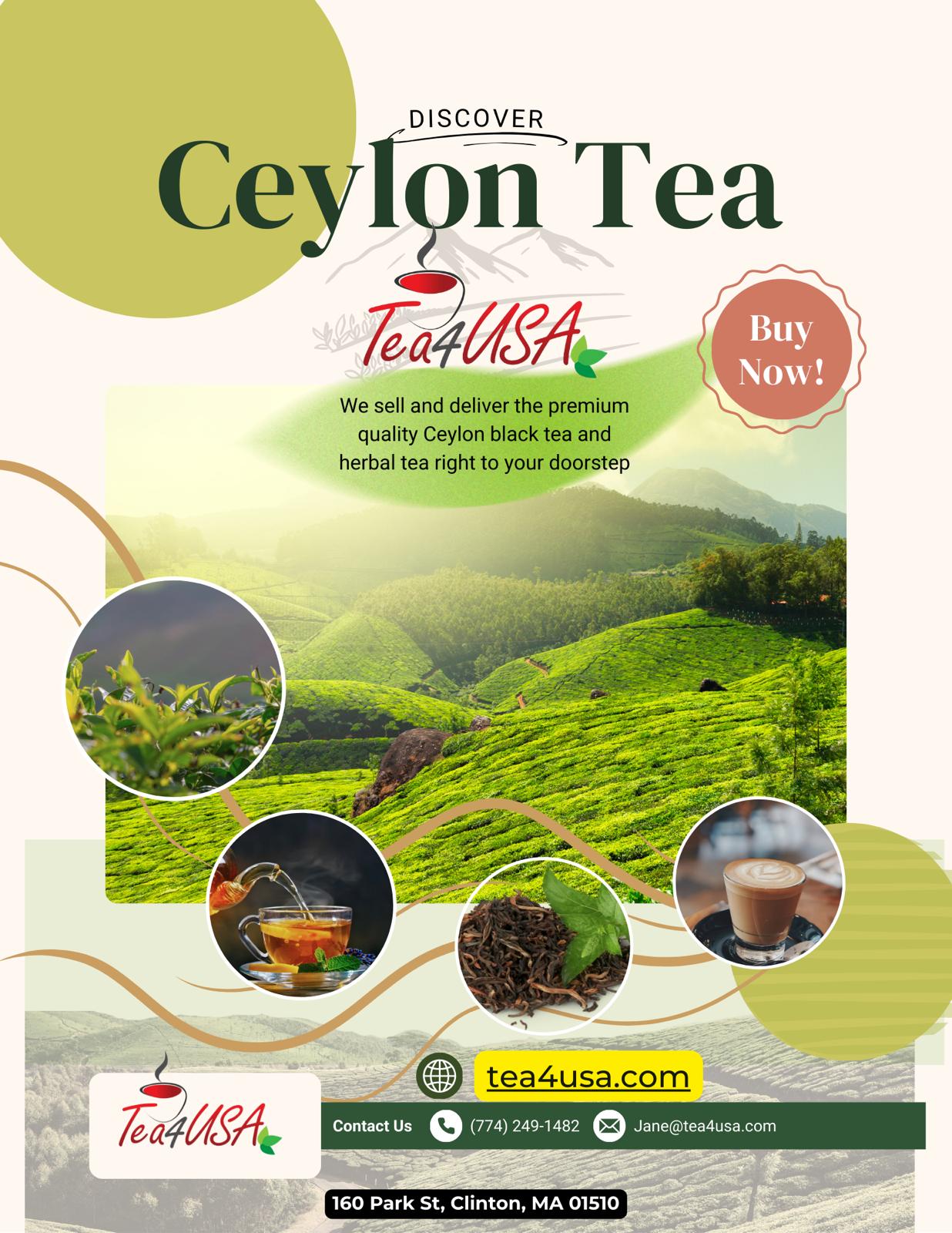Buy Wholesale Organic Ceylon, Green, Iced Tea Bags Online
– TEA4USA LLC