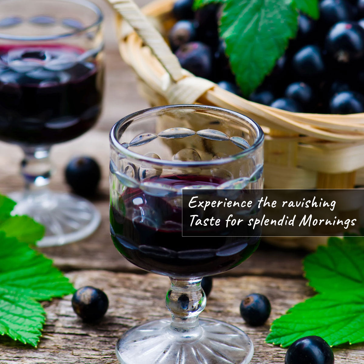 TEA4U Black Currant Black Tea