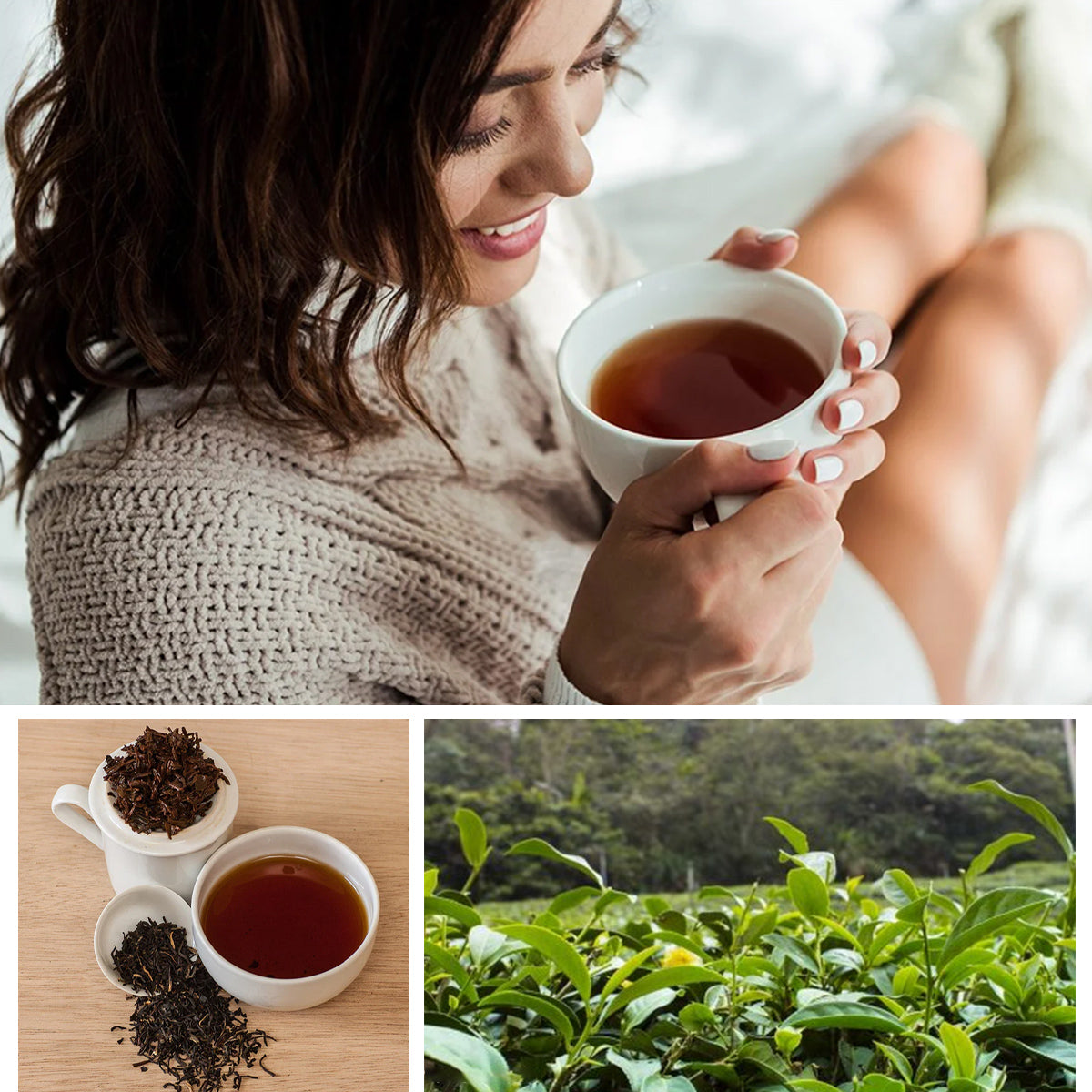 Tea4U Earl Grey Loose Black Tea Ceylon handpicked Sri Lanka