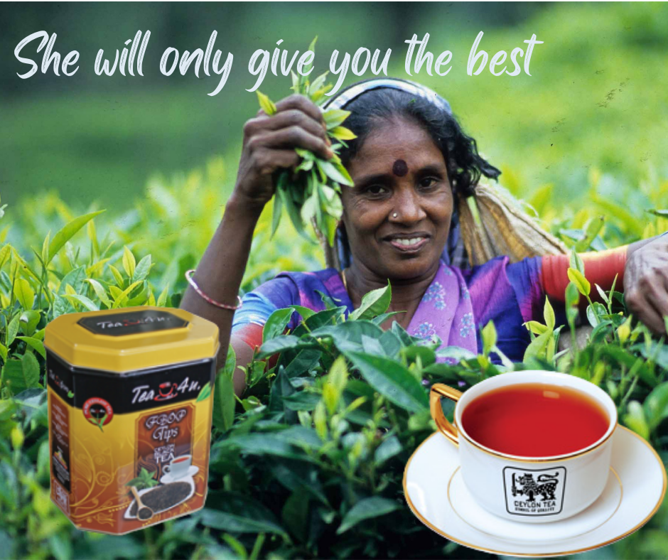 Tea4U FBOP Loose Black Ceylon Sri Lanka Leave Metal Canister ANVERALLY
