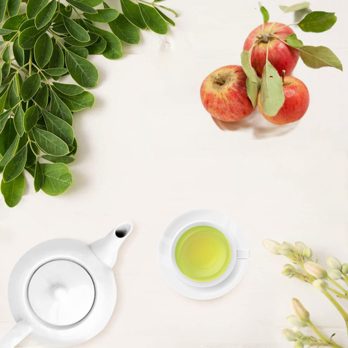 Flavored Moringa Oleifera Energy Tea - Apple