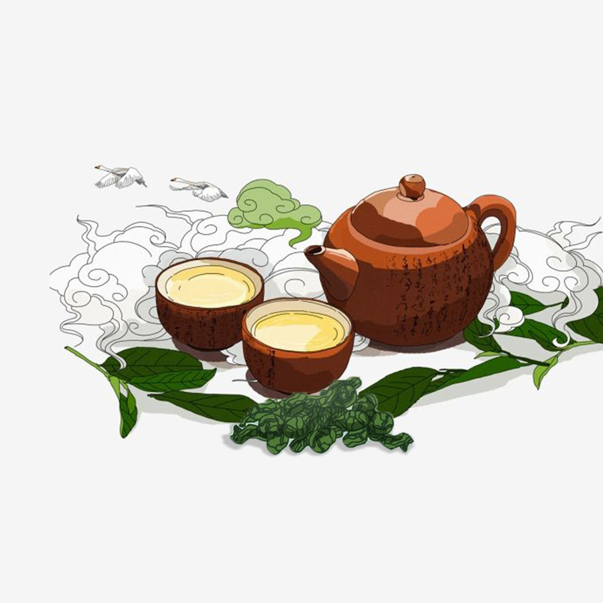 Tea4U Milk Oolong Green Tea Bags