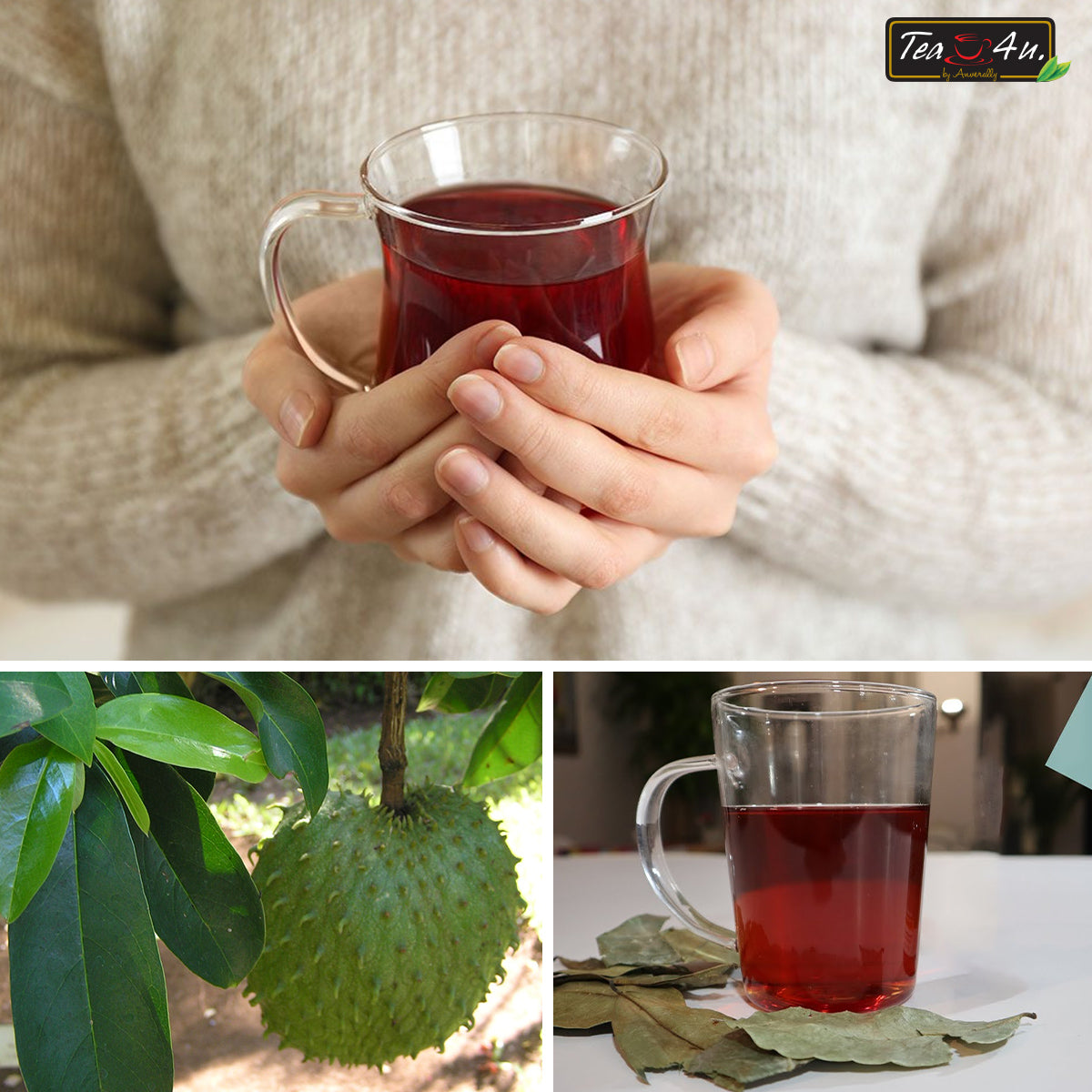 Tea4U Sour Sop Black Tea Bags