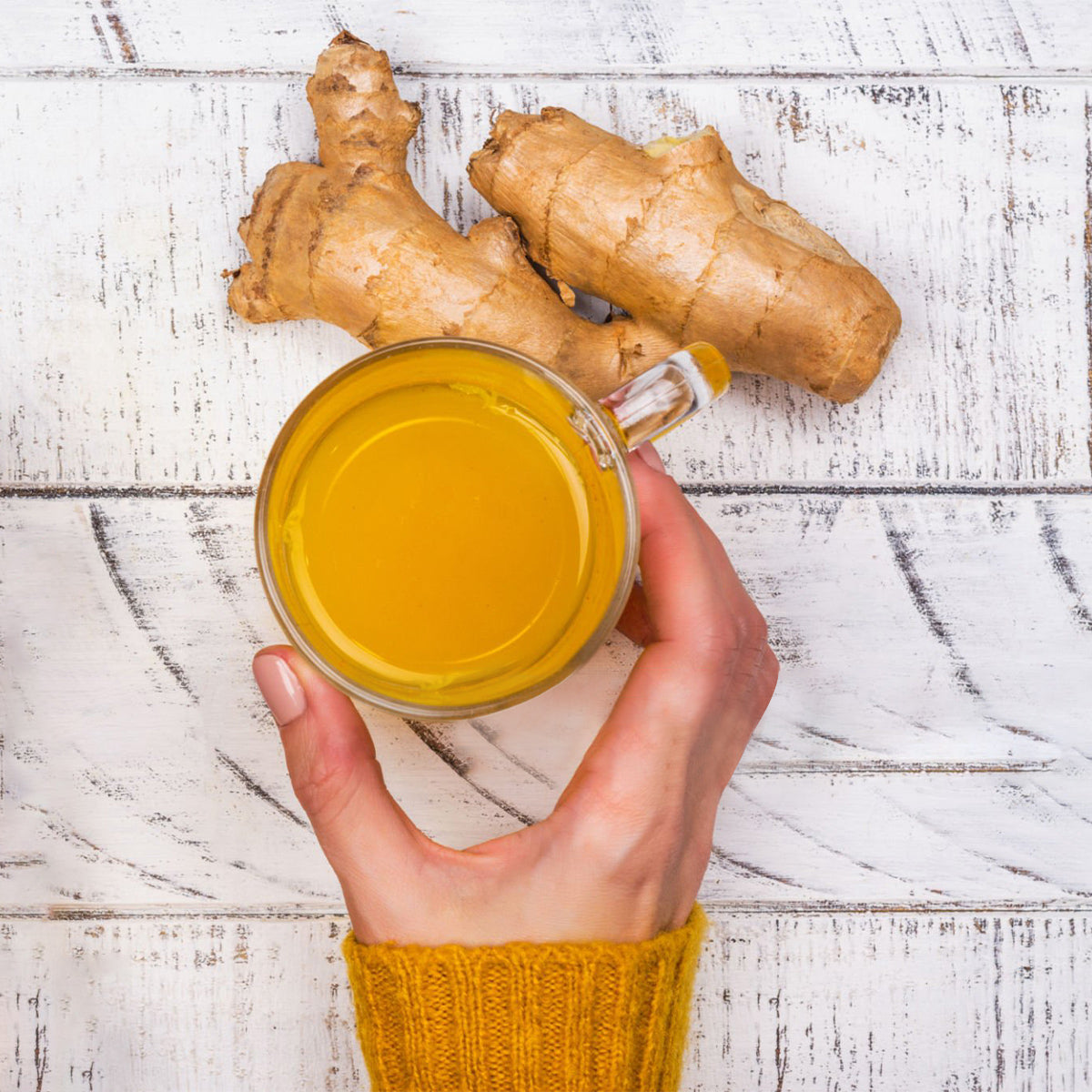 Tea4U Herbal Infusion Tea Bags