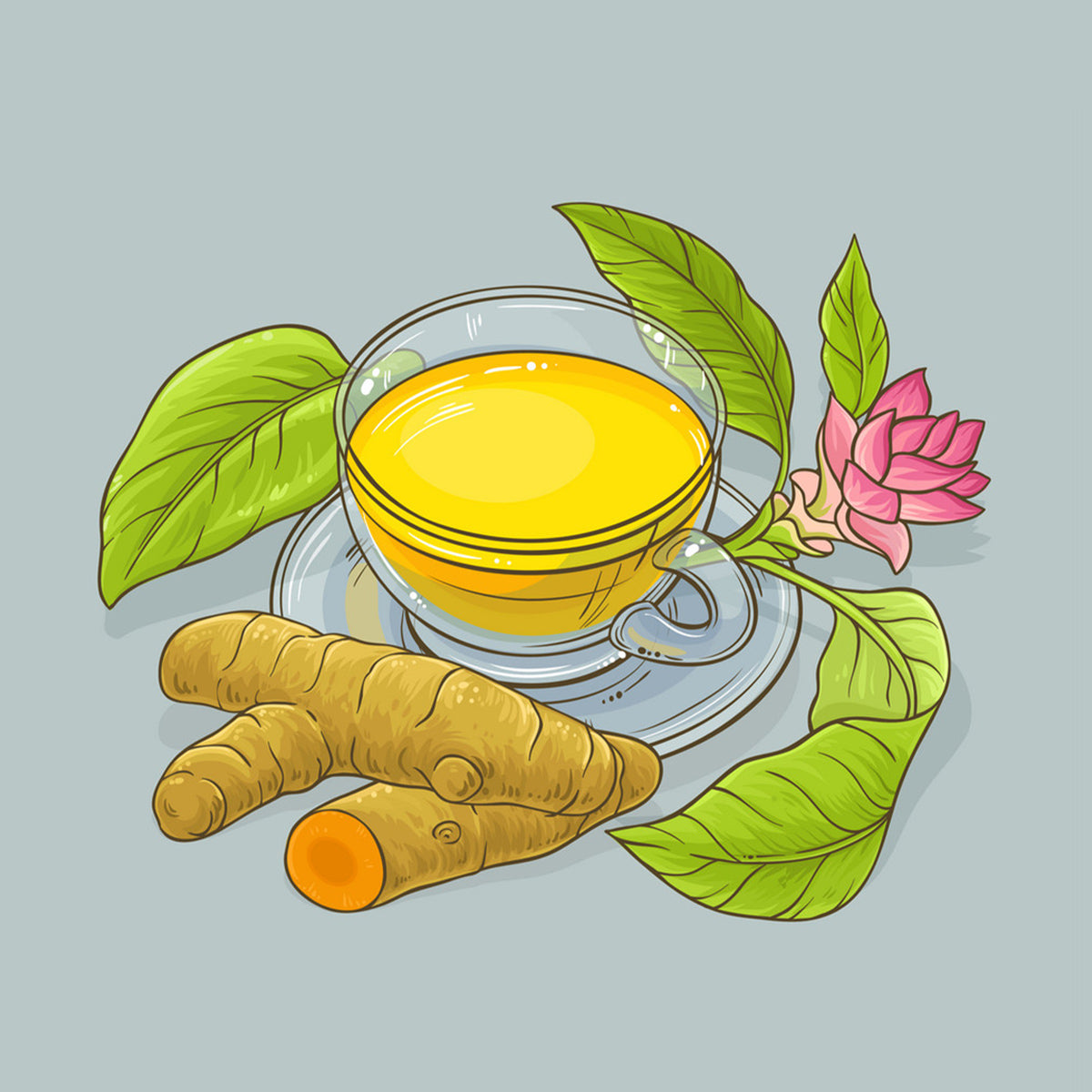 Tea4U Herbal Infusion Tea Bags