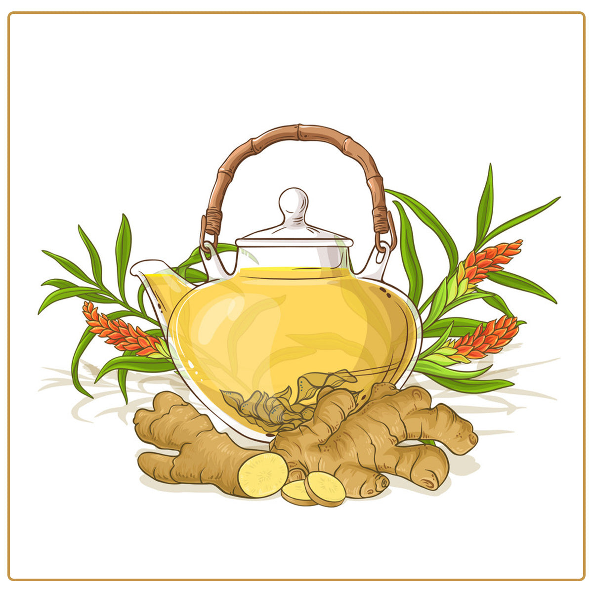 Tea4U Ginger Black Tea Bags - Original Ceylon Tea, 25 Tea Bags