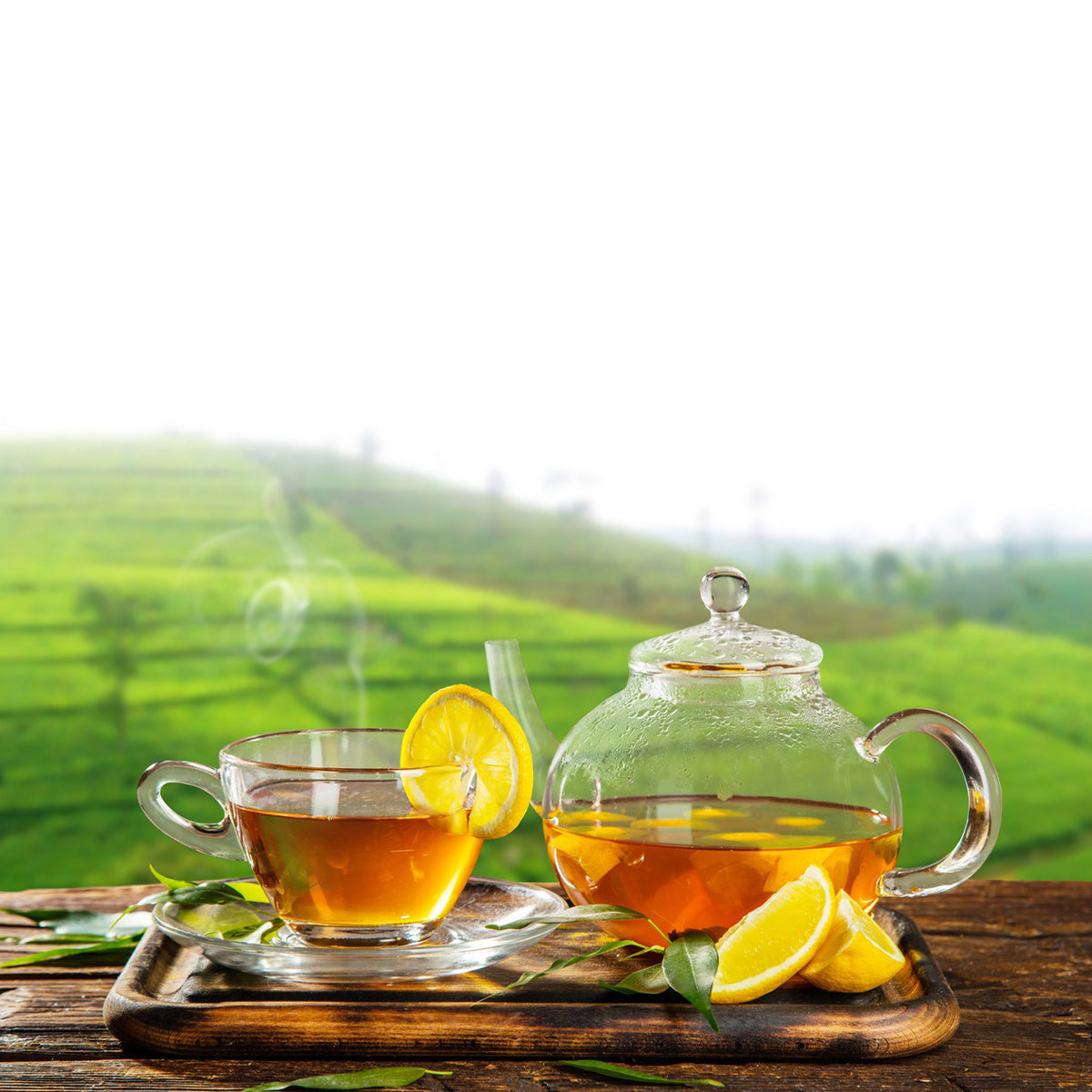 Tea4U Green Tea Bags with Lime