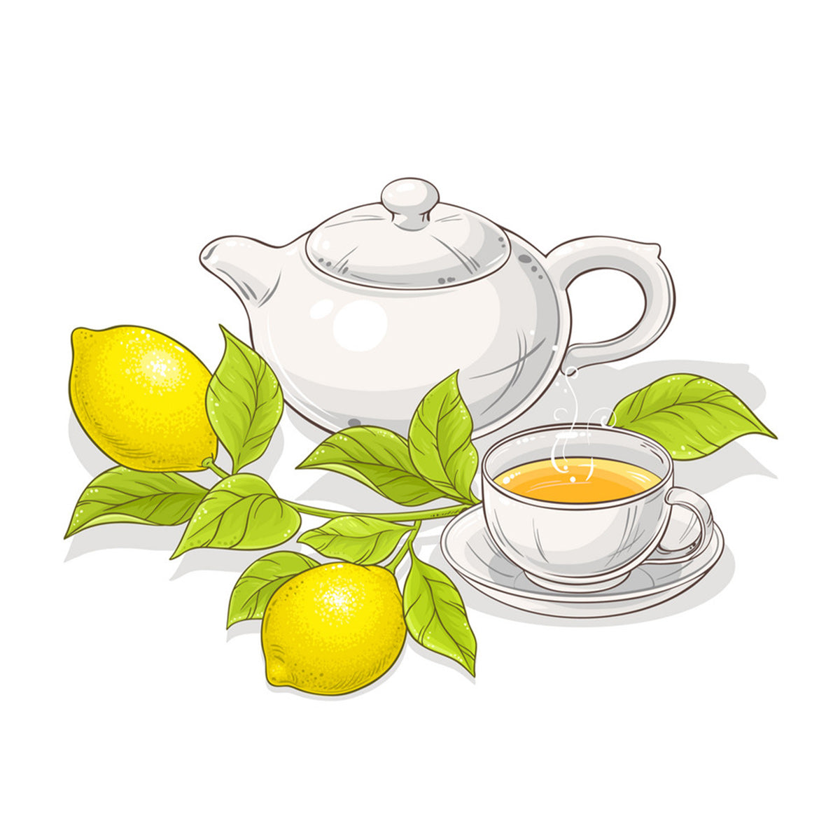 Tea4U Green Tea Bags with Lime