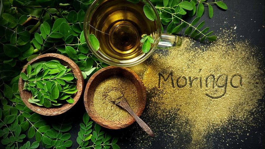 The Benefits of Drinking Moringa Tea