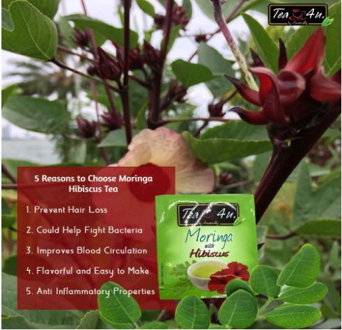 Flavored Moringa Fruity Hibiscus Tea